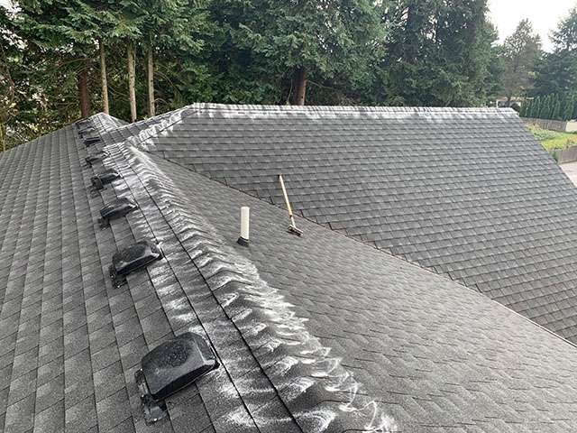 cleaned and scrubbed roof no roof moss