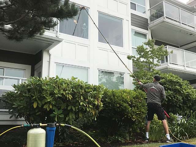 Rainier Window, Roof Cleaning, Moss Removal and Gutter Cleaning | Window Cleaning