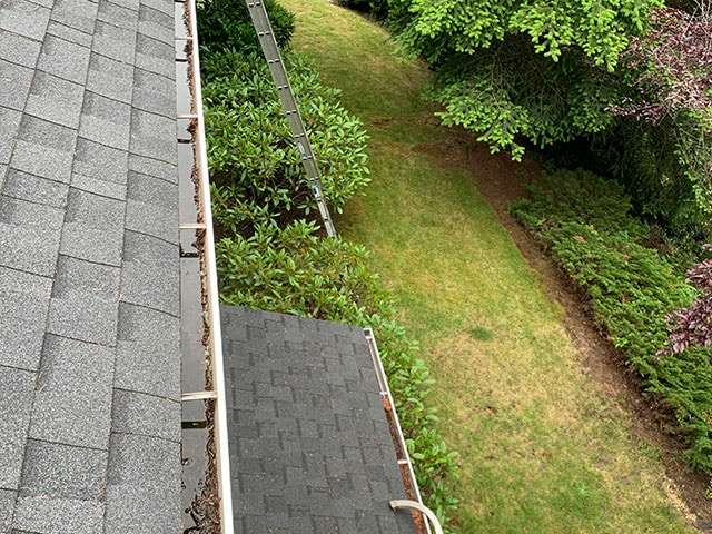 our perspective - clean roof