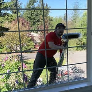 rainier residential window cleaning services