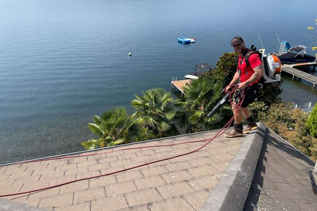 Rainier Window, Roof Cleaning, Moss Removal and Gutter Cleaning | Rainier Window, Roof Cleaning, Moss Removal and Gutter Cleaning
