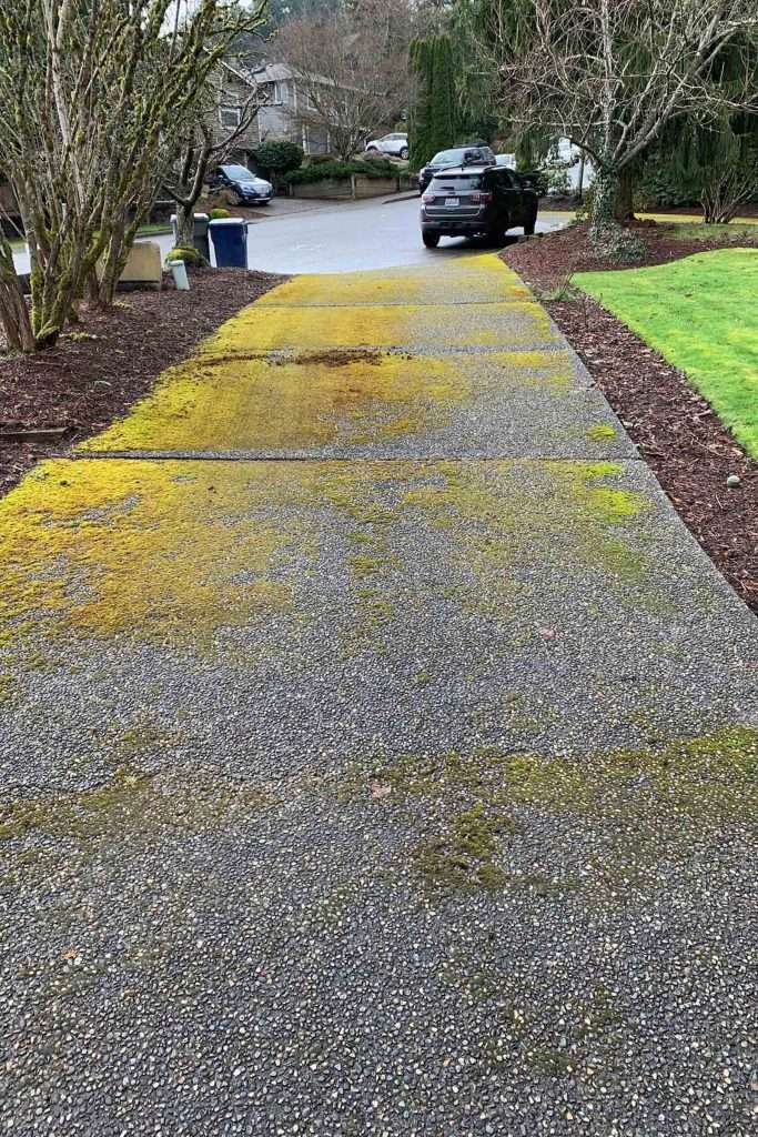 remove moss on your driveway with a pressure washing