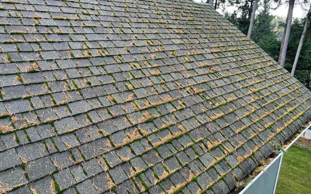 roof cleaning from moss removal to gutter clean out by Rainier Window and Gutter Cleaning