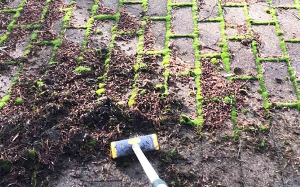 scrubbing moss off of roof while not damaging the asphalt shingle