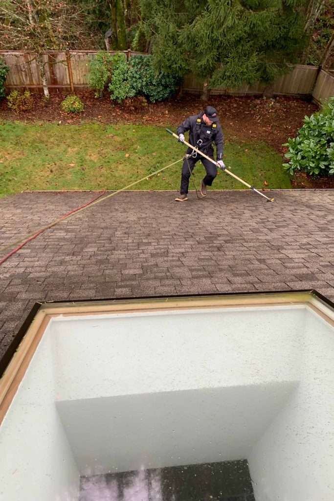 roof cleaning in Tacoma removing moss with sponge for roofs