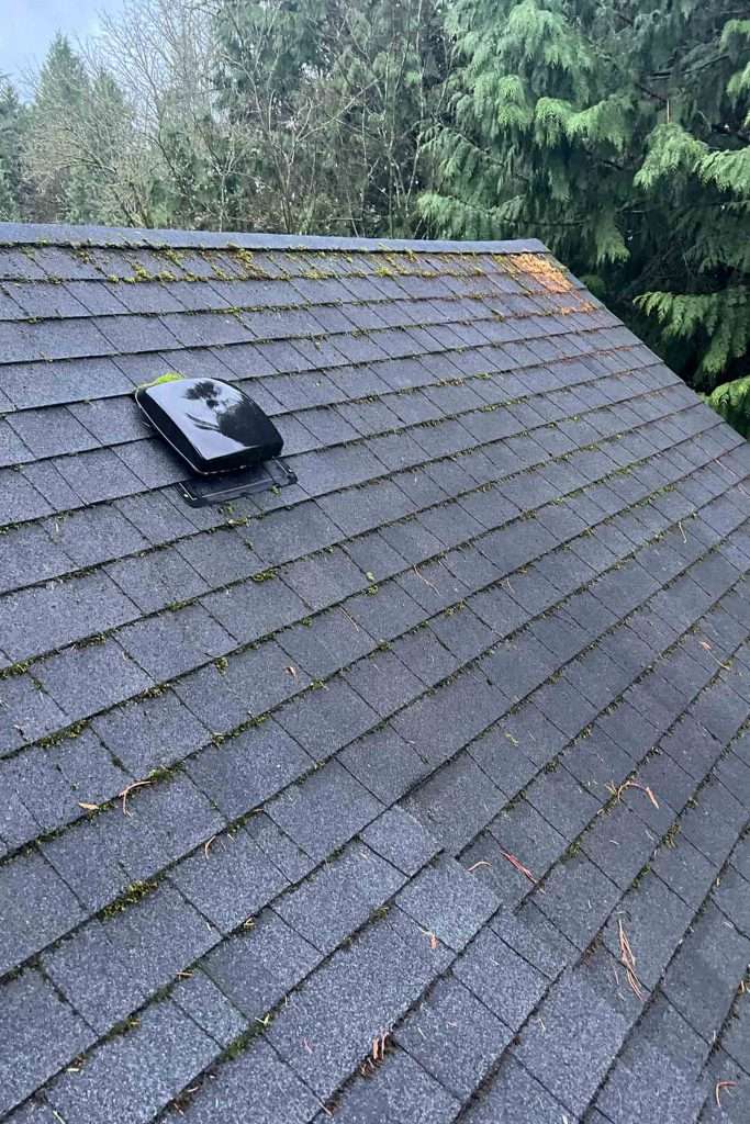 Rainier Window, Roof Cleaning, Moss Removal and Gutter Cleaning | How Can I Make My Roof Look New?