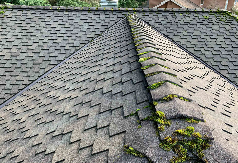 Rainier Window, Roof Cleaning, Moss Removal and Gutter Cleaning | Edmonds Roof Cleaning & Moss Removal