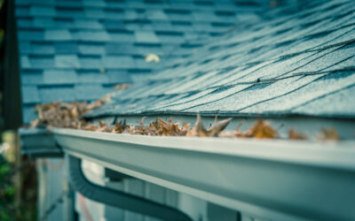 Signs Your Clogged Gutters Need Cleaning